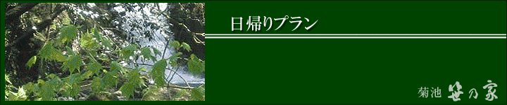 日帰りプラン